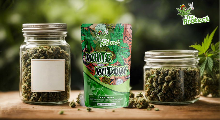 White Widow CBD: Is dit de populairste CBD-bloem?