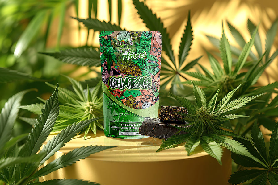 Ontdek Charas: een exclusief cannabisconcentraat