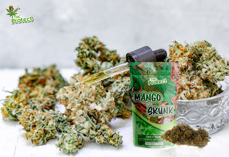 Ontdek de uitzonderlijke kracht van de Mango Skunk CBD-bloem