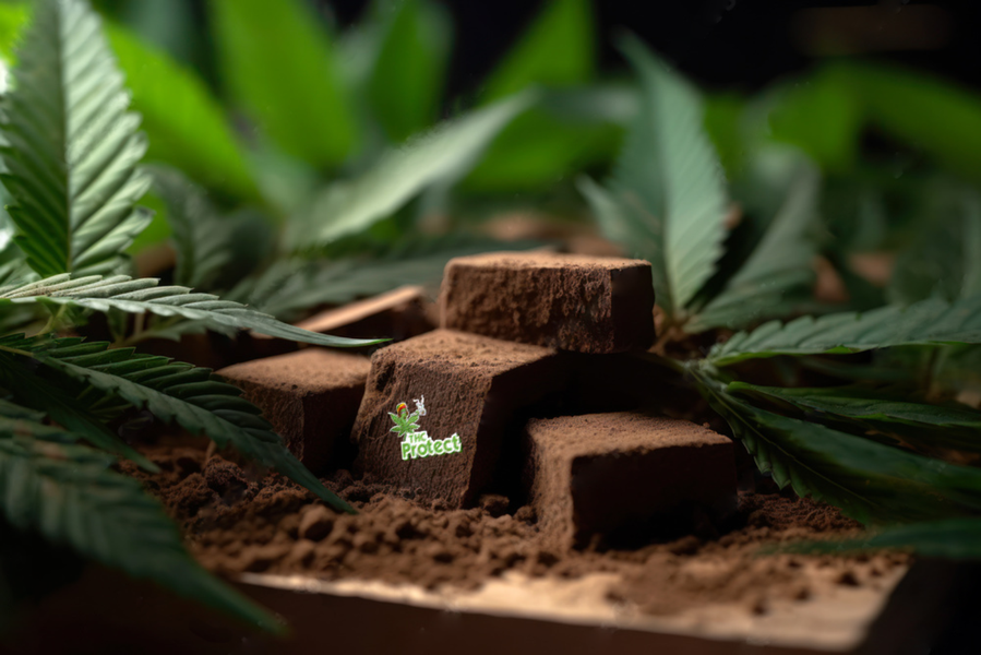 Wat zijn de geheimen van de unieke smaken van cannabishars?