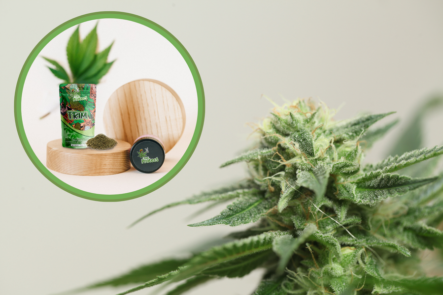 Laten we alles te weten komen over de CBD Trim-bloem