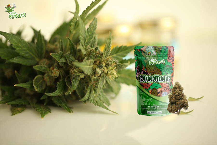 De voordelen van Cannatonic CBD-bloemen voor gezondheid en welzijn